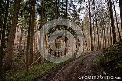 Trail through a beautiful autumn forest in Baden-Wurtemberg, Germany Stock Photo