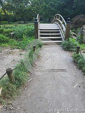 Trail bridge hiking steps trees Stock Photo