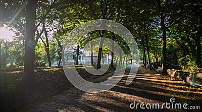 Trail in a city park, cobblestone walkway. Rotterdam, Netherlands Editorial Stock Photo