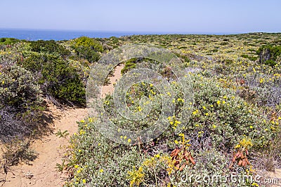 Trail, Cliffs, beach and waves in Arrifana Stock Photo