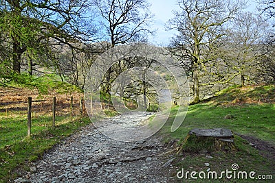 Trail in forest in hilly English countryside Stock Photo