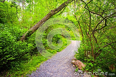 Trail through the forest at Wildwood Park, Harrisburg, Pennsylvania. Stock Photo