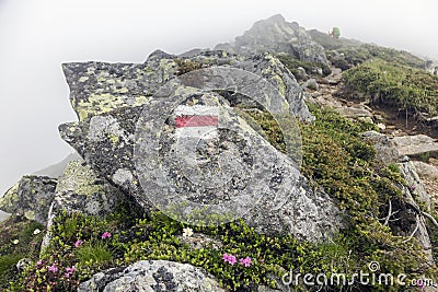 Trail marking on mountains. Painted mark in red and white for tourist, hikers and trekkers. It helps to navigate walker during Stock Photo