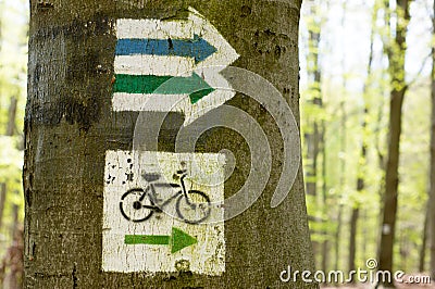 Trail marking on tree. Hike and bicycle trails Stock Photo