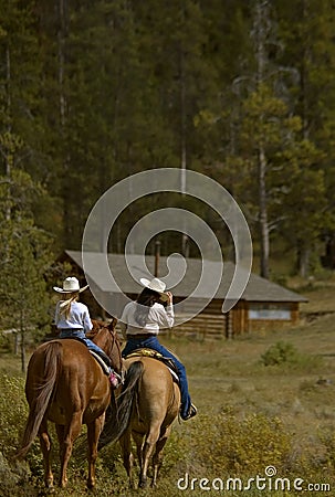 Trail Ride Stock Photo