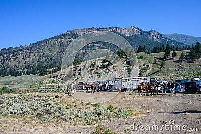 Trail riding tour getting horses and tourists ready to start trail ride near S Editorial Stock Photo