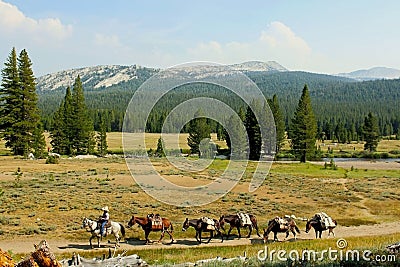 Trail riding, Tuolumne Meadows, Yosemite National Park Stock Photo