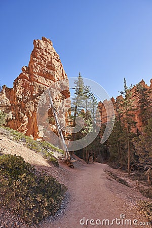Trail through Rock Formations of Bryce Canyon Stock Photo