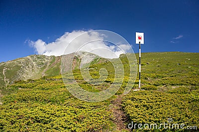 Trail signpost Stock Photo