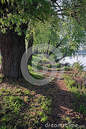 Trail stretching along the shore of the lake. Early Sunny spring morning. Stock Photo