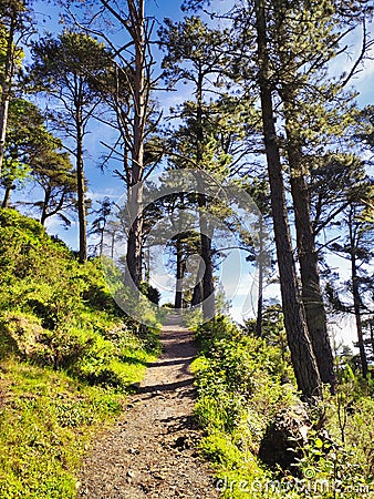 Trail to El Pienzu peak from El Fitu, Sierra del Sueve, Colunga, Caravia and Parres municipalities, Asturias, Spain Stock Photo