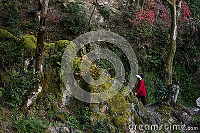 Trail to Koshoji in Uji City Editorial Stock Photo