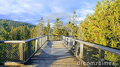 The Trail Trees Lipno Lookout, Czechia Stock Photo