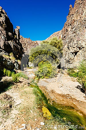 Trailhead to Darwin Waterfall Stock Photo