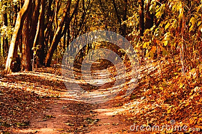 Trailway in the city nature park for walking and relaxation. Autumn landscape or autumn mood Stock Photo