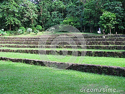 Trailway to the Forrest in La Mesa Ecopark Editorial Stock Photo