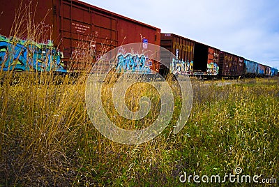 Train Cars with Colorful Graffiti Editorial Stock Photo