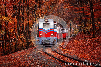 Train coming in the autumn forest Stock Photo