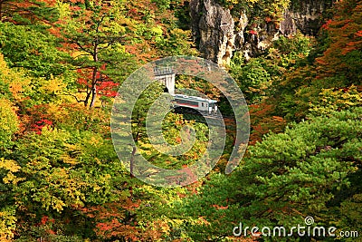Train coming out from tunnel during autumn season in Naruko gorge Stock Photo