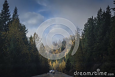 Train in corridor of colorful autumn trees Stock Photo