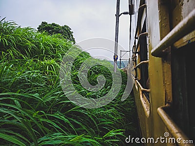 Train passing Through beautiful wild grass and rainy clouds Stock Photo