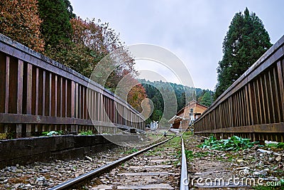 Train at platfrom of Alishan forest railway station Editorial Stock Photo