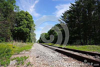 Train railroad tracks lead into a forest Stock Photo