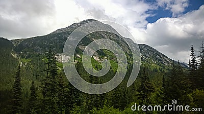 Train tour to Yukon from the port of call Skagway Stock Photo