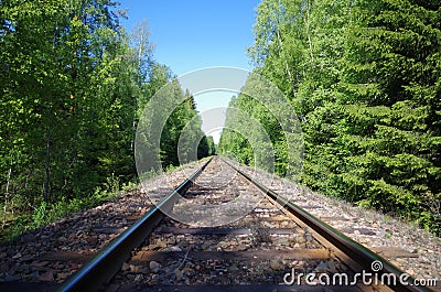 Train tracks in the forest Stock Photo