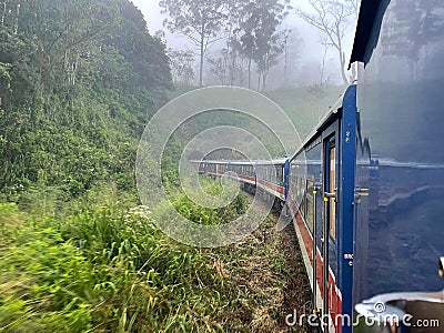 Train travel with cool nature relaxing scenery Stock Photo
