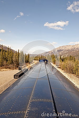 Train traveling through forest Stock Photo