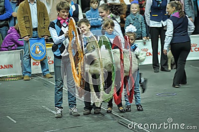 Trained dogs perform at the show Editorial Stock Photo