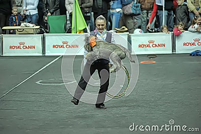 Trained dogs perform at the show Editorial Stock Photo