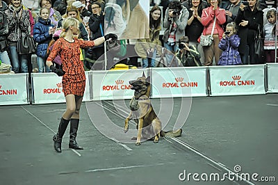 Trained dogs perform at the show with trainers Editorial Stock Photo