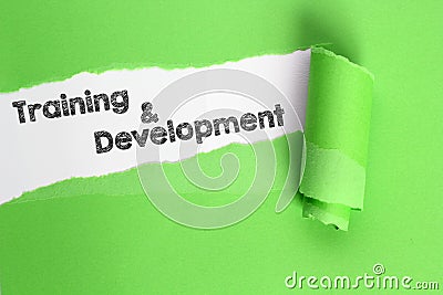 Training and Development Stock Photo