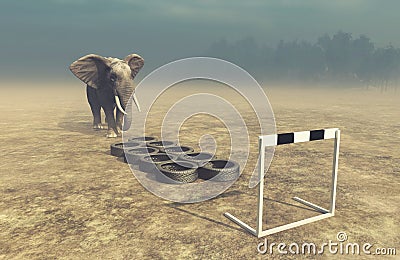 Elephant in front of training tire Cartoon Illustration