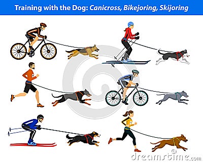 Training Exercising with dog: canicross, bikejoring, skijoring Vector Illustration