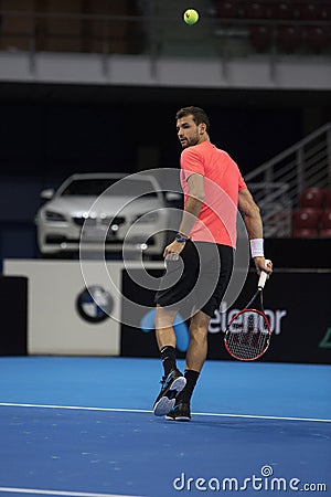 Training on Grigor Dimitrov Editorial Stock Photo