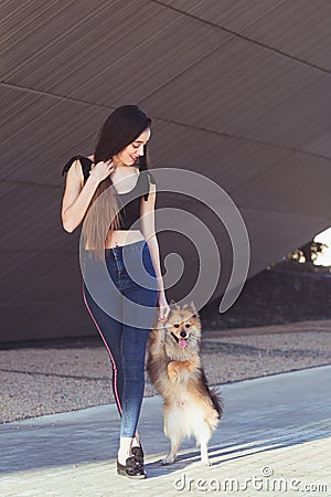 Training a grown-up dog to walk on two legs Stock Photo