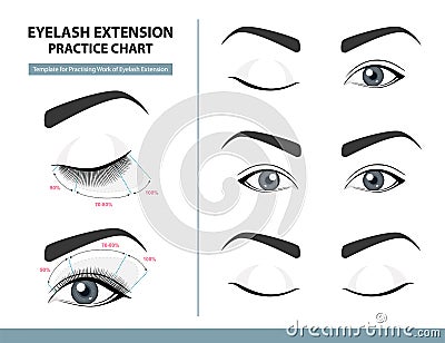 Training Poster, Practice Chart. Density of Eyelash Extension for Great Look. Eyelash Extension Guide. Infographic Vector Vector Illustration