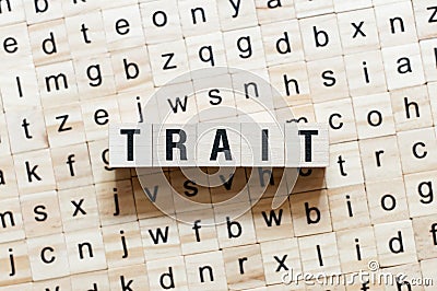 Trait word concept on cubes Stock Photo