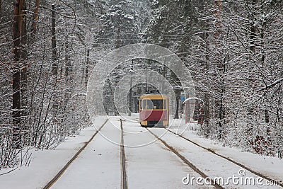 Tram number 12 on the route in a snow-covered forest in Kyiv. Ukraine Stock Photo