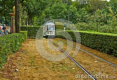 Tram in the summer park Stock Photo