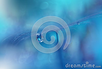 Tranquil Closeup Blue Background.Abstract Macro,water drops.Art photography.Beautiful Nature Wallpaper.Colorful.Natural,purity. Stock Photo