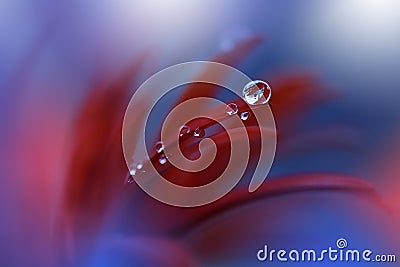 Beautiful Nature Background.Tranquil Abstract Closeup Art Photography.Artistic Blue Wallpaper.Floral Fantasy Design.Drop,water,red Stock Photo