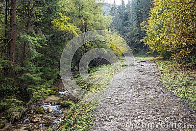 Tranquil autumn footpath along the stream through forest Stock Photo