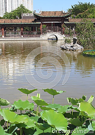 Tranquil Chinese garden with lotus plants on lake Stock Photo
