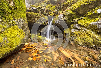 Tranquil forest stream with motion blur Stock Photo