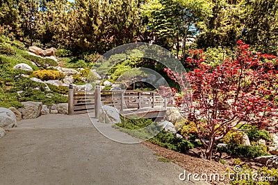 Tranquil Japanese Friendship Garden at the Balboa Park in San Di Editorial Stock Photo
