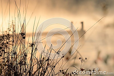 Tranquil lake filled with a mysterious mist, giving the illusion of smoke billowing from its surface Stock Photo